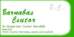 barnabas csutor business card
